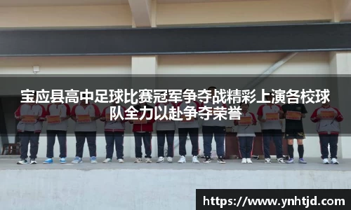 宝应县高中足球比赛冠军争夺战精彩上演各校球队全力以赴争夺荣誉