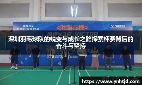 深圳羽毛球队的蜕变与成长之路探索杯赛背后的奋斗与坚持